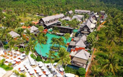 Mai Samui Beach Resort & Spa A Year in Review